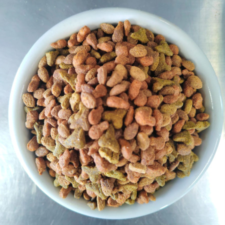 Güesos Cat de 8 kg.