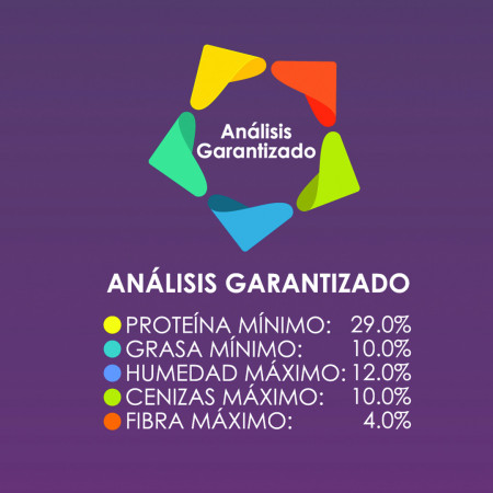 Güesos Cat de 8 kg.