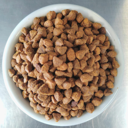 Güesos Cachorro de 20 kg.